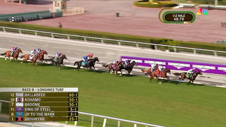 2023 Longines Breeders' Cup Turf - Auguste Rodin (IRE)
