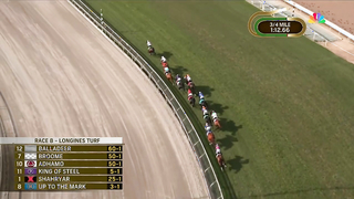 2023 Longines Breeders' Cup Turf - Auguste Rodin (IRE)