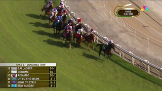 2023 Longines Breeders' Cup Turf - Auguste Rodin (IRE)