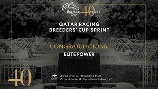 2023 Qatar Racing Breeders' Cup Sprint - Elite Power