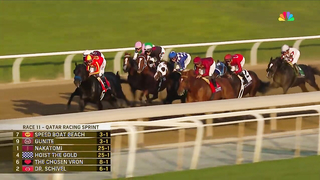 2023 Qatar Racing Breeders' Cup Sprint - Elite Power
