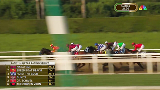 2023 Qatar Racing Breeders' Cup Sprint - Elite Power