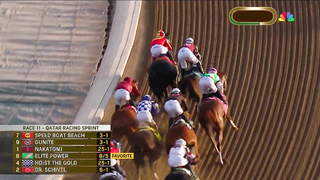 2023 Qatar Racing Breeders' Cup Sprint - Elite Power