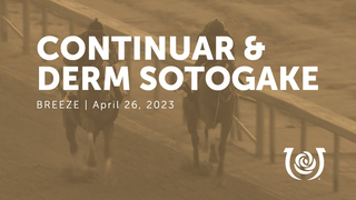 Continuar (JPN) & Derma Sotogake (JPN) Works | April 26, 2023
