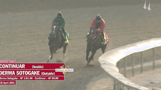 Continuar (JPN) & Derma Sotogake (JPN) Works | April 26, 2023