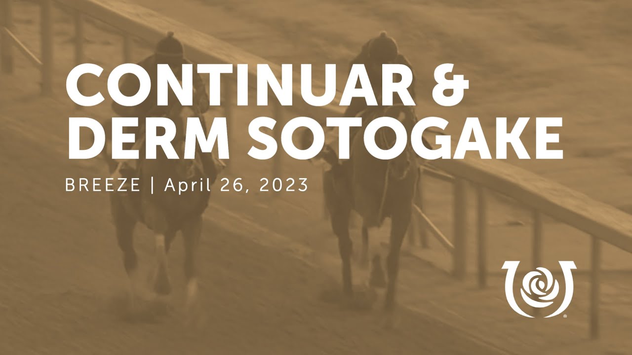 Continuar (JPN) & Derma Sotogake (JPN) Works | April 26, 2023