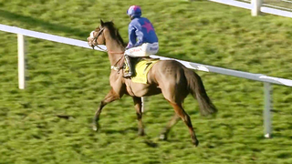 Top 10 Recent Winners | The Ascot Chase