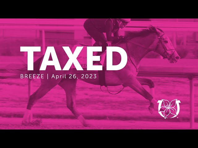 Kentucky Oaks Contender Taxed Works | April 26, 2023