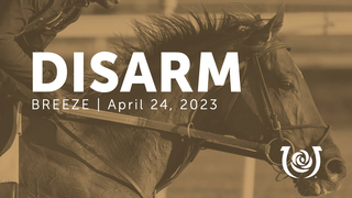 Disarm Work | April 24, 2023