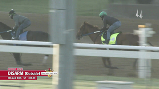 Disarm Work | April 24, 2023