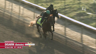 Disarm Work | April 24, 2023