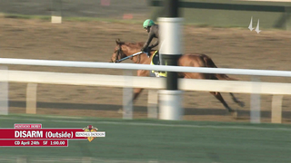 Disarm Work | April 24, 2023