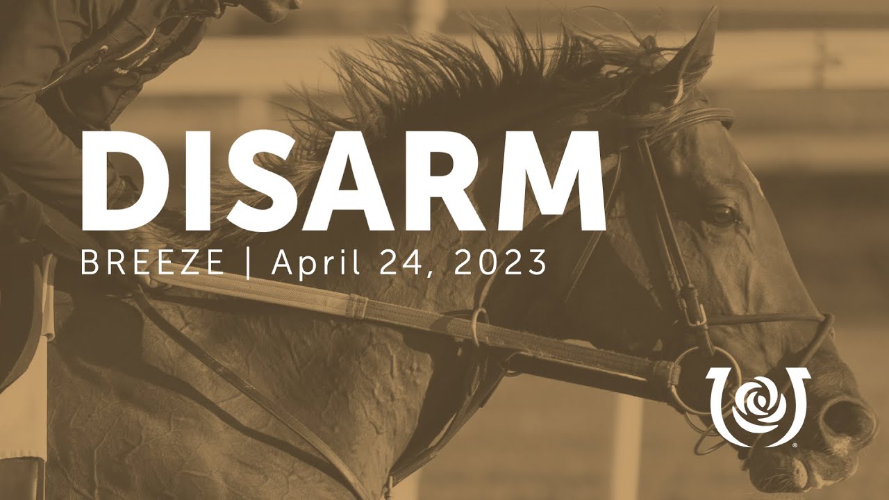 Disarm Work | April 24, 2023
