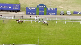 Top 10 Recent Wins | The Reynoldstown Novices' Chase