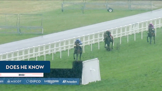 Top 10 Recent Wins | The Reynoldstown Novices' Chase