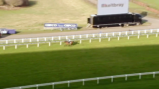 Top 10 Recent Winners | The Swinley Chase at #Ascot