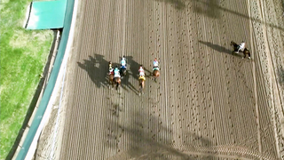 Road to the Kentucky Derby 149 | New Year, New Horses