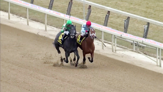 Road to the Kentucky Derby 149 | New Year, New Horses