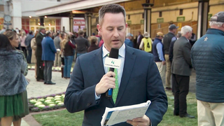 Road to the Kentucky Derby 149 | New Year, New Horses