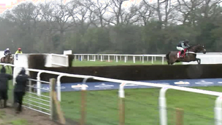 Nicky Henderson | All Wins at #Ascot in the Clarence House Chase