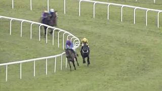 Paul Nicholls | All Wins at #Ascot in the Clarence House Chase