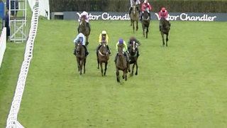 Paul Nicholls | All Wins at #Ascot in the Clarence House Chase