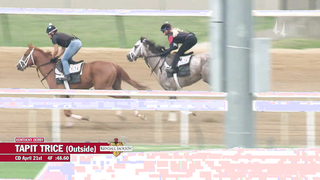 Tapit Trice Works 4.21