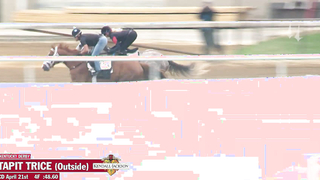 Tapit Trice Works 4.21