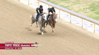 Tapit Trice Works 4.21