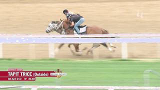 Tapit Trice Works 4.21