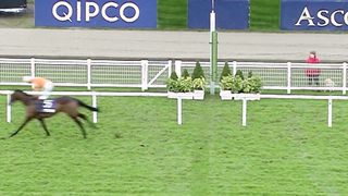 Top 10 Recent Wins | Clarence House Chase