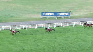 Top 10 Recent Wins | Clarence House Chase