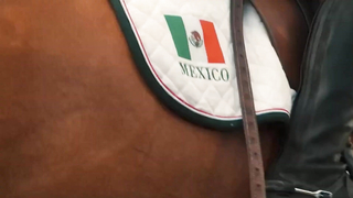 Chasing The Dream | Episode 1 - Stars On The Rise