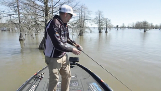 MLFNOW! Highlights: Suzuki Stage Two Championship Round