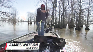 MLFNOW! Highlights: Suzuki Stage Two Championship Round