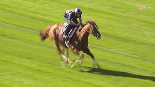 40 Moments #18: Wise Dan Sparkles in the Breeders' Cup Mile