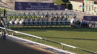 40 Moments #18: Wise Dan Sparkles in the Breeders' Cup Mile
