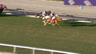 40 Moments #18: Wise Dan Sparkles in the Breeders' Cup Mile