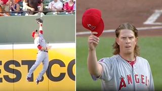 DEFYING GRAVITY! These guys went WAY UP to make these plays!!