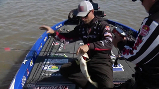 Bass Pro Tour | Stage Two | Santee Cooper | Knockout Round Highlights