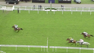 Top 10 Recent Winners | The Warfield Mares' Hurdle Race