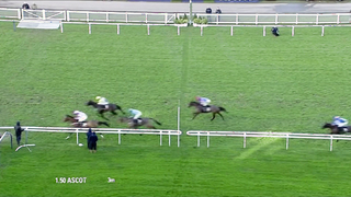 Top 10 Recent Winners | The Warfield Mares' Hurdle Race