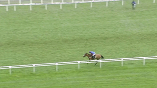 Top 10 Recent Winners | The Warfield Mares' Hurdle Race