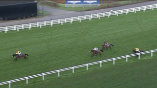 Top 10 Recent Winners | The Warfield Mares' Hurdle Race