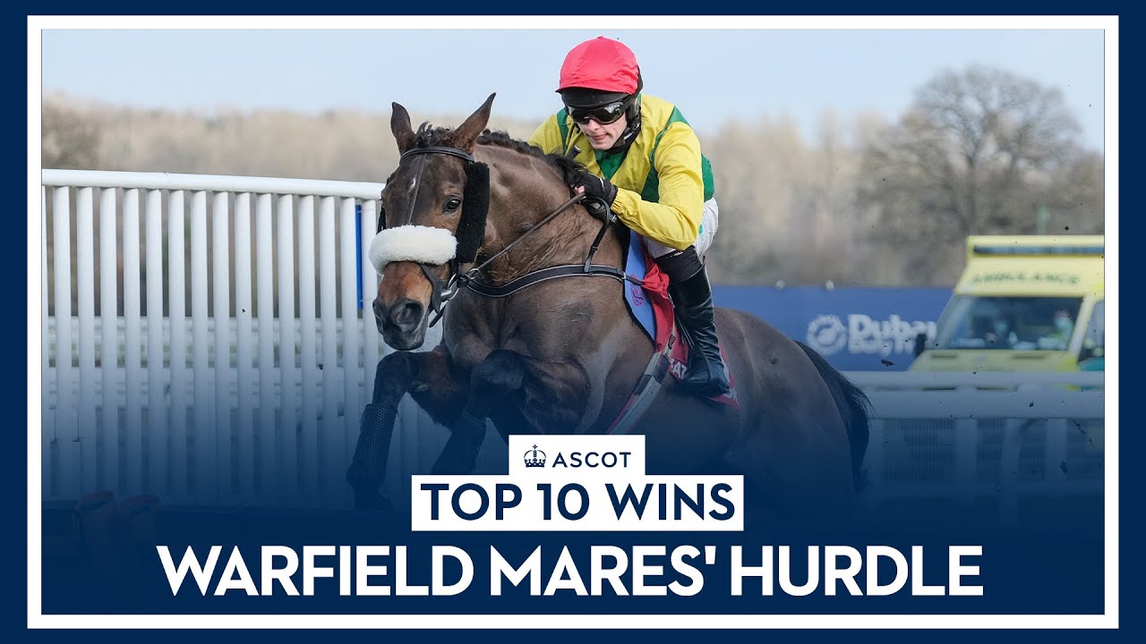Top 10 Recent Winners | The Warfield Mares' Hurdle Race