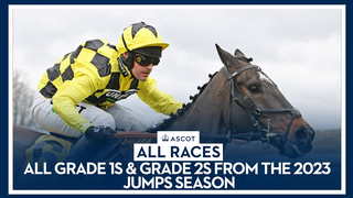 ALL RACES | Grade 1 & Grade 2 Races from Ascot’s Jumps Season in 2023