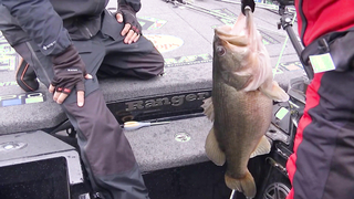 Bass Pro Tour | Stage Two | Santee Cooper | Qualifying Day 2 - Group B Highlights