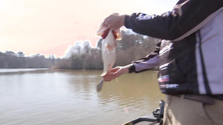 Bass Pro Tour | Stage Two | Santee Cooper | Qualifying Day 2 - Group A Highlights