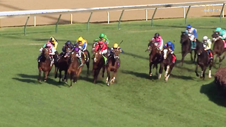 40 Moments #16: Enable Completes Arc/Breeders' Cup Turf Double with Frankie Dettori