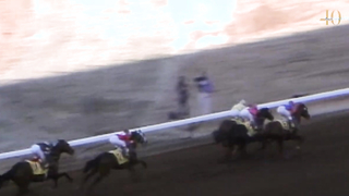 40 Moments #10: Wild Again’s Inaugural Classic Thriller